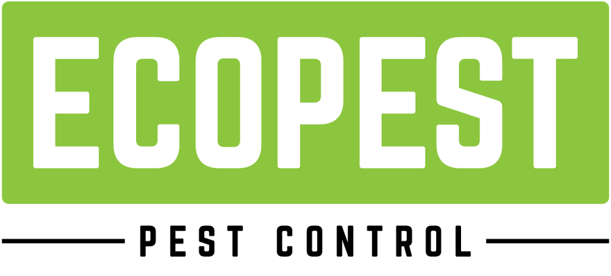 Ecopest - Pest Control In Gloucestershire
